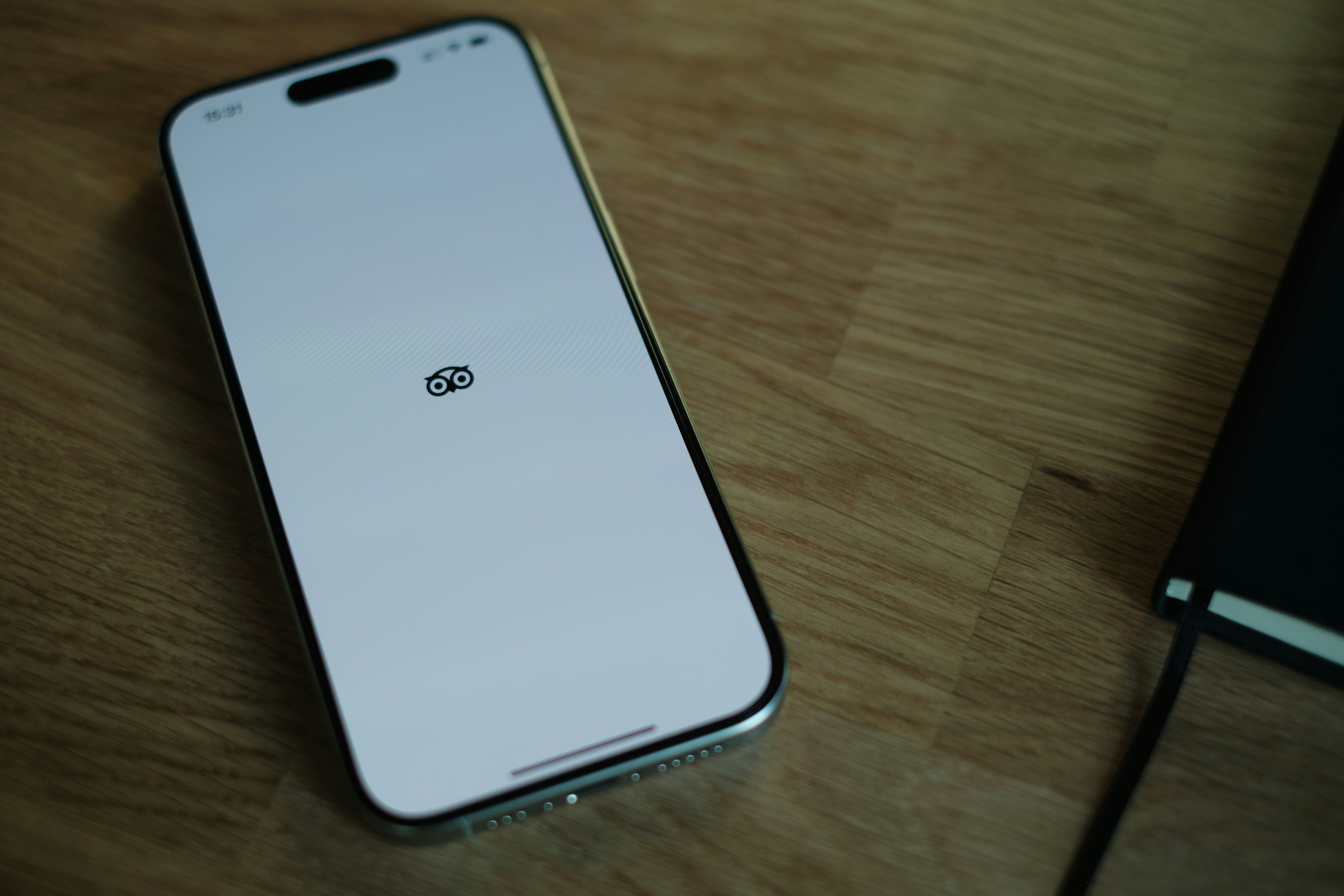 Why Tripadvisor Still Matters in the Local Search Game